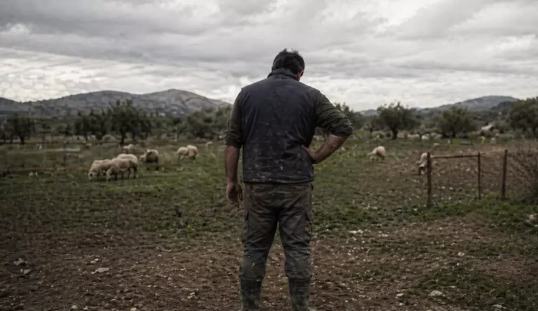 «Ήρθαν να με ξεκληρίσουν… Δεν καταλαβαίνω»: Η συγκλονιστική κραυγή ενός κτηνοτρόφου από τη Λέσβο