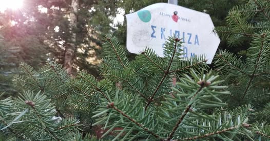Μαραθώνια Μονοπάτια: Εξόρμηση στην Πάρνηθα