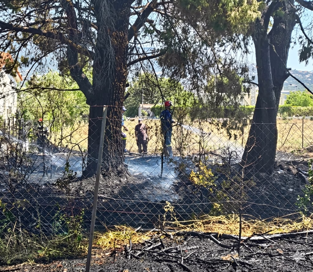 Συνελήφθη 89χρονος για τη φωτιά στο Κρυονέρι – Πρόστιμο άνω των 2.500 ευρώ για εμπρησμό από αμέλεια