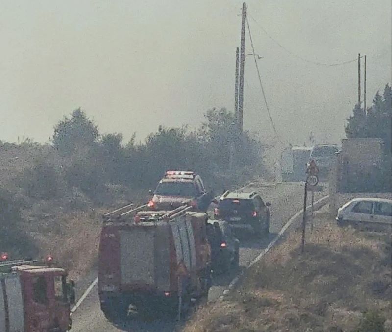 Ραφήνα Πικέρμι: Ενημέρωση για δασικές πυρκαγιές στο πλαίσιο του ”Ιόλαος 2”