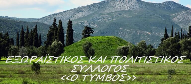 Σύλλογος ΤΥΜΒΟΣ Παραλία Μαραθώνα: Πρόγραμμα Καλοκαιρινών Εκδηλώσεων