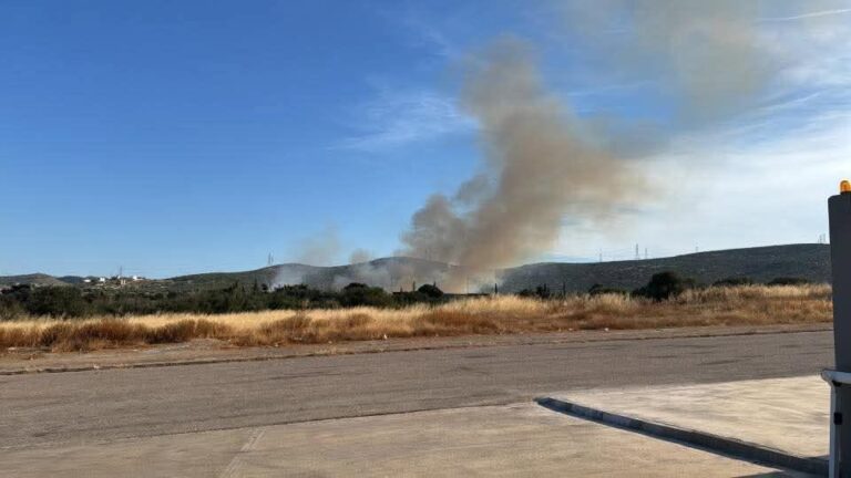 Πυρκαγιά κοντά στην Ιερά Μονή Παναγίας Θεοσκέπαστης στην Κερατέα