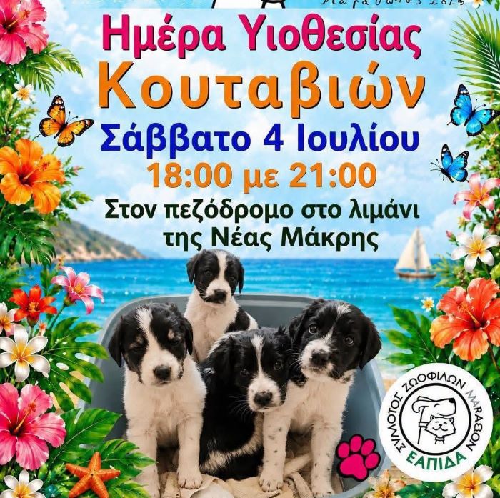 Νέα Μάκρη: Ημέρα υιοθεσίας κουταβιών το Σάββατο 4 Ιουλίου στο λιμάνι