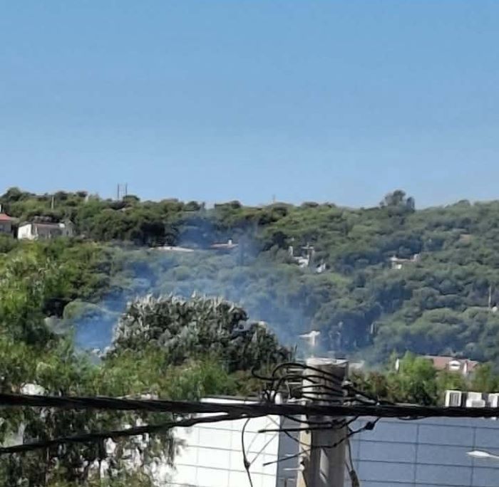 Ραφήνα: Υπό έλεγχο η πυρκαγιά στα Μαύρα Αμπέλια