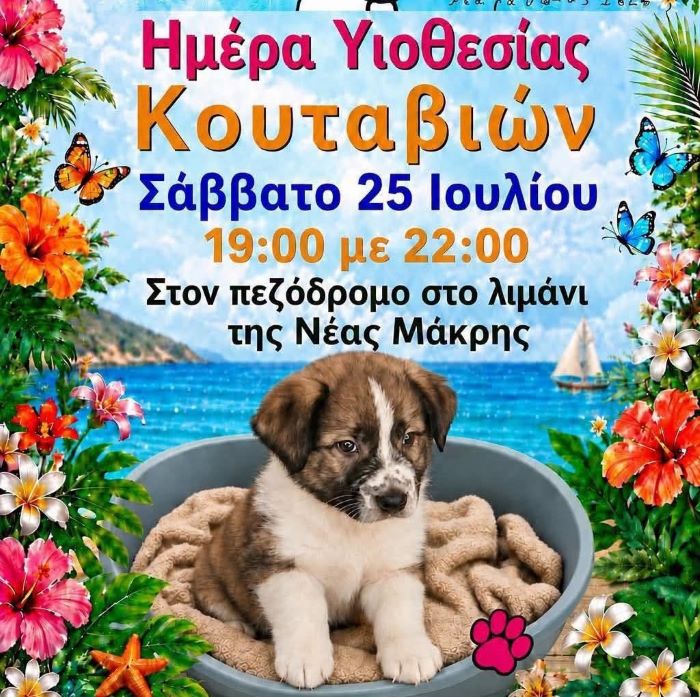 Ημέρα υιοθεσίας αδέσποτων κουταβιών στην παραλία Νέας Μάκρης
