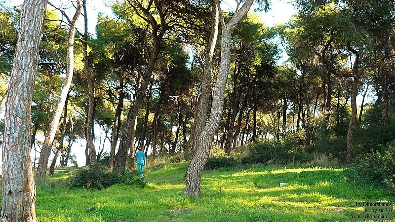 Απαγόρευση κυκλοφορίας προσώπων και οχημάτων σε περιοχές του Δήμου Παλλήνης