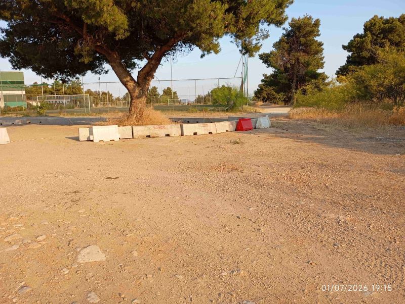 Πικέρμι: Καταγγελία για μεγάλο πεύκο στο Αθλητικό Κέντρο Διώνης – «Από τις κορδέλες στα τσιμεντένια εμπόδια»