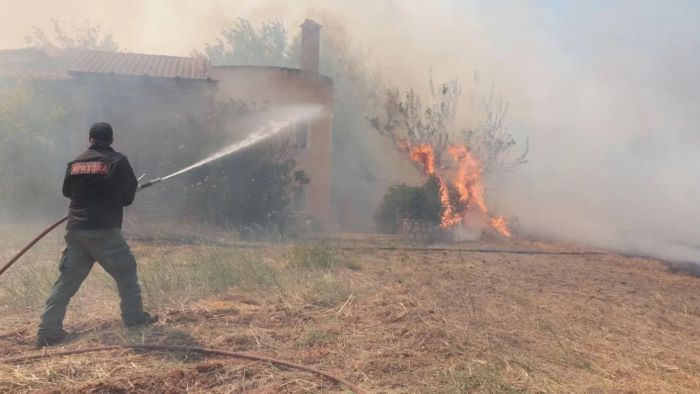 Τρεις συλλήψεις για τις πυρκαγιές σε Κεφαλονιά και Βοιωτία – Στο μικροσκόπιο τα αίτια