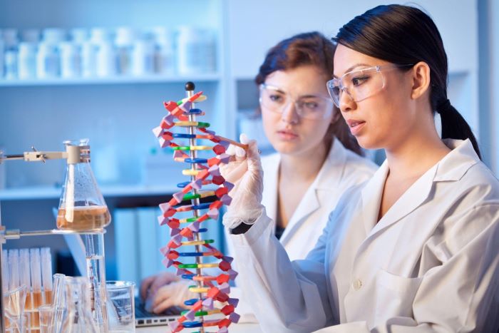 «DNA-φάντασμα» αποκαλύπτει δύο άγνωστες αρχαίες ανθρώπινες γενεαλογίες