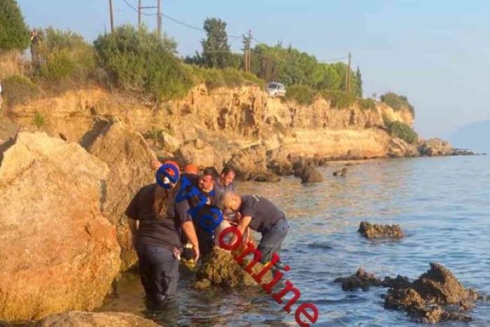 Εύβοια: Επιχείρηση διάσωσης 22χρονου που έπεσε σε γκρεμό 15 μέτρων (βίντεο)