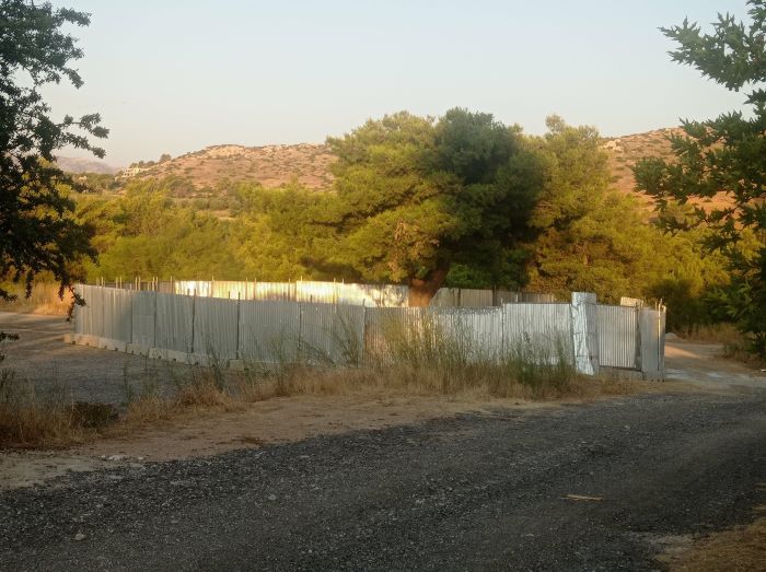Διώνη: Ναι μεν αλλά…