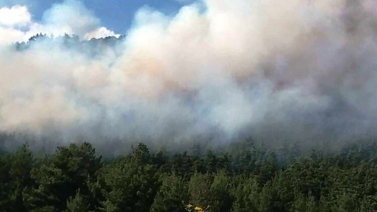 Καβάλα: Στον εισαγγελέα 80χρονος για εμπρησμό από πρόθεση – Φέρεται να ομολόγησε