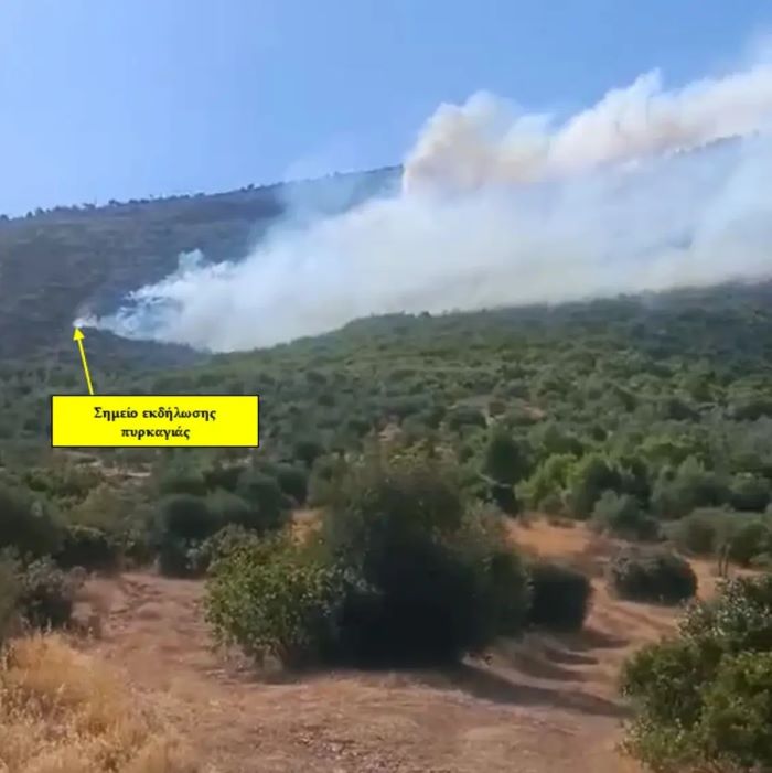 Φωτιά στη Βοιωτία: Στη φυλακή μετά τις απολογίες τους δήμαρχος, εργολάβος και επιχειρηματίας