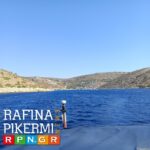 regatta1