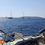 regatta3
