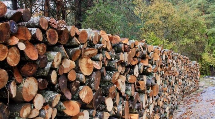 Καυσόξυλα: Άρχισαν οι παραγγελίες – Οι τιμές
