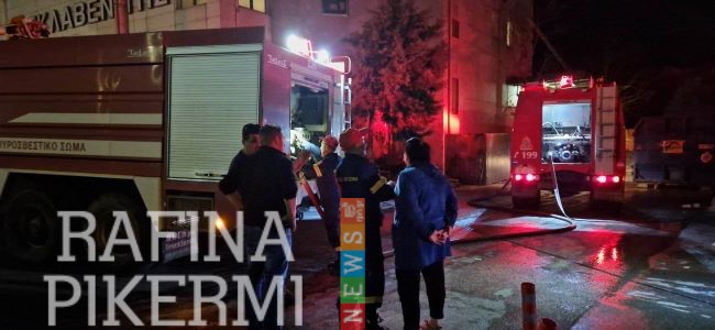 Ραφήνα: Πέντε χρόνια κάθειρξη για τον Ρουμάνο που είχε συλληφθεί για φωτιές το 2024