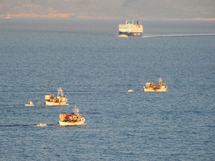 Ραφήνα: Τα καΐκια σαλπάρουν στο απογευματινό φως, κρατώντας ζωντανή την αλιευτική ταυτότητα του λιμανιού