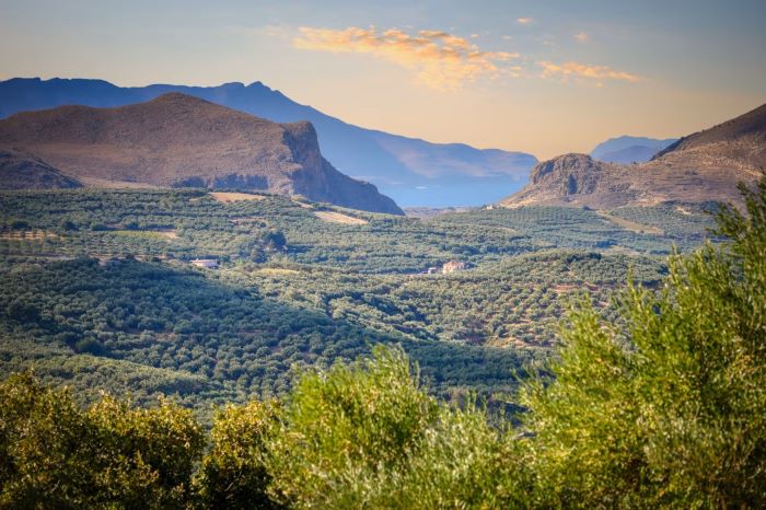 Πιλοτικό πρόγραμμα εκμίσθωσης αγροτικών ακινήτων σε 11 Περιφερειακές Ενότητες