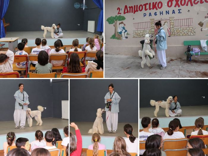 Ραφήνα: Βιωματική δράση για την Παγκόσμια Ημέρα των Ζώων στο 2ο Δημοτικό Σχολείο